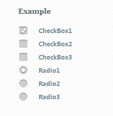 jQuery ArtDesign Radio CheckBox
